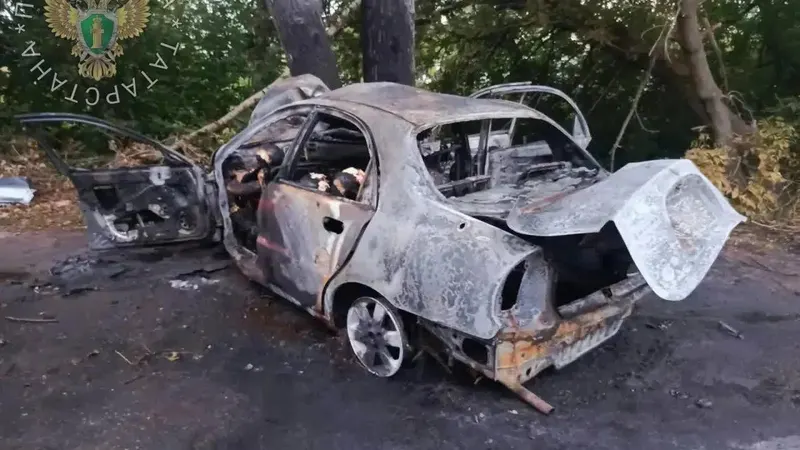 Шесть человек погибли при столкновении автомобиля с деревом в Татарстане