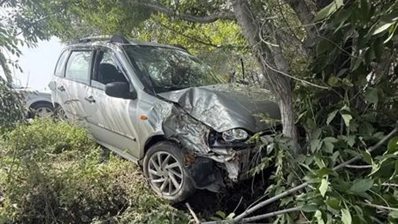 В Ставропольском районе автомобилист врезался в дерево и оказался в больнице