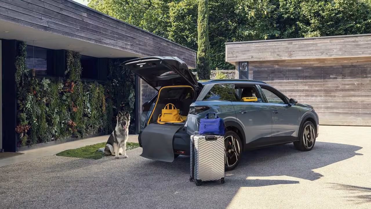 Peugeot представила концептуальный электромобиль E-5008 Dog Edition