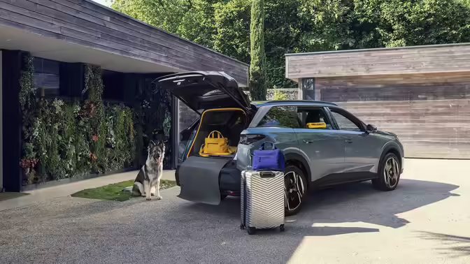 Peugeot представила концептуальный электромобиль E-5008 Dog Edition