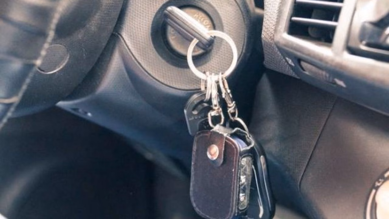 Haval расширит производство автомобилей в Тульской области