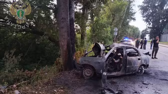 В Зеленодольске шесть человек погибли при столкновении автомобиля с деревом