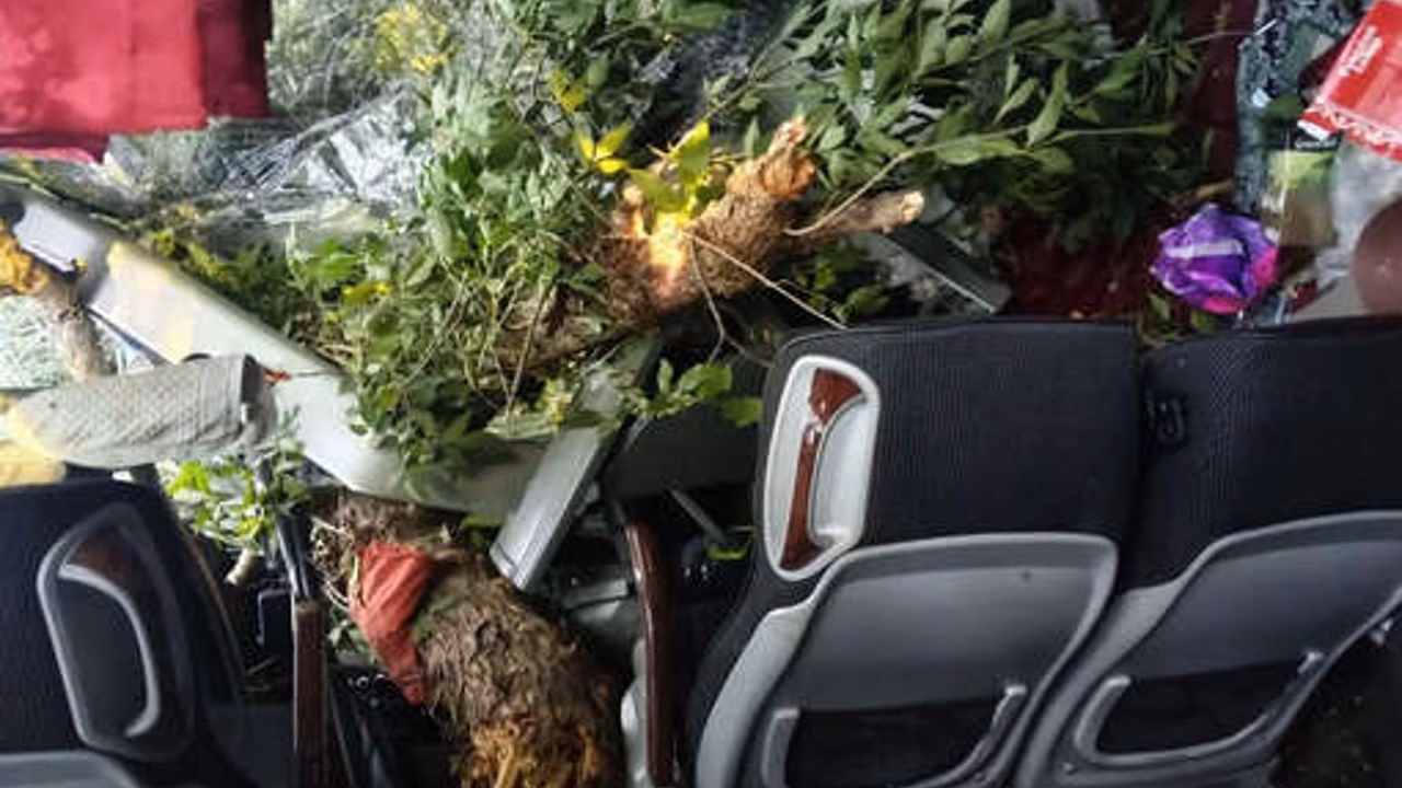 В ЛНР перевернулся автобус с пассажирами, люди пострадали
