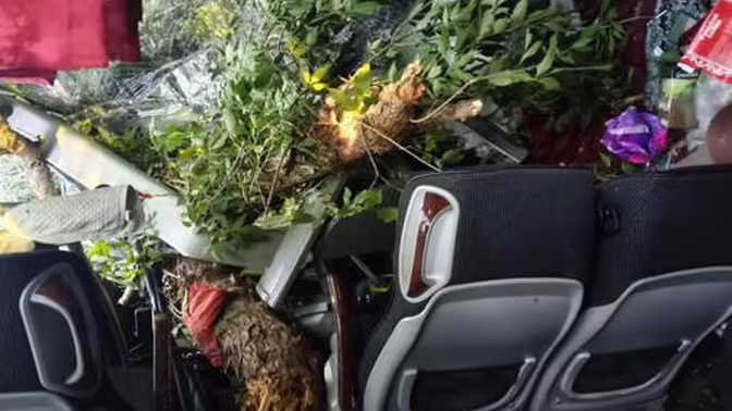 В ЛНР перевернулся автобус с пассажирами, люди пострадали