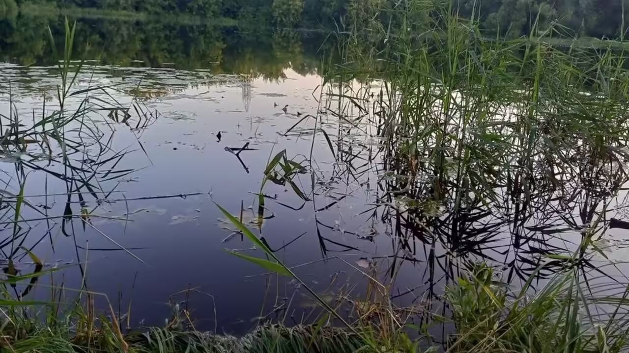 В Невинномысске автомобиль съехал в водоём, водитель погиб