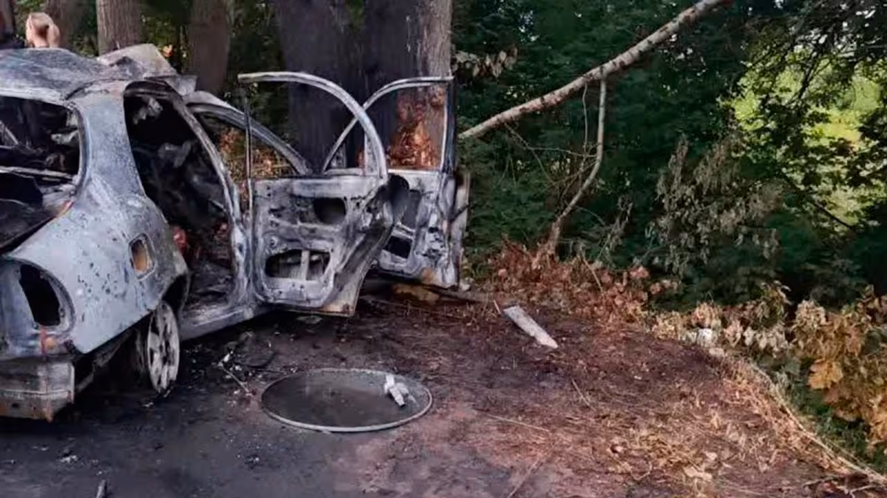 В Татарстане машина влетела в дерево, шесть человек погибли
