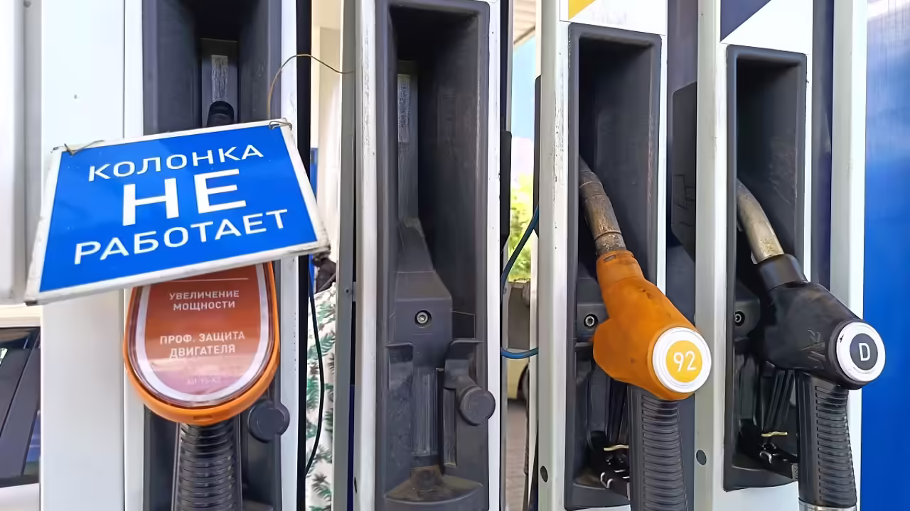 Водительские права с 2027 года будут отзывать при выявлении опасных болезней