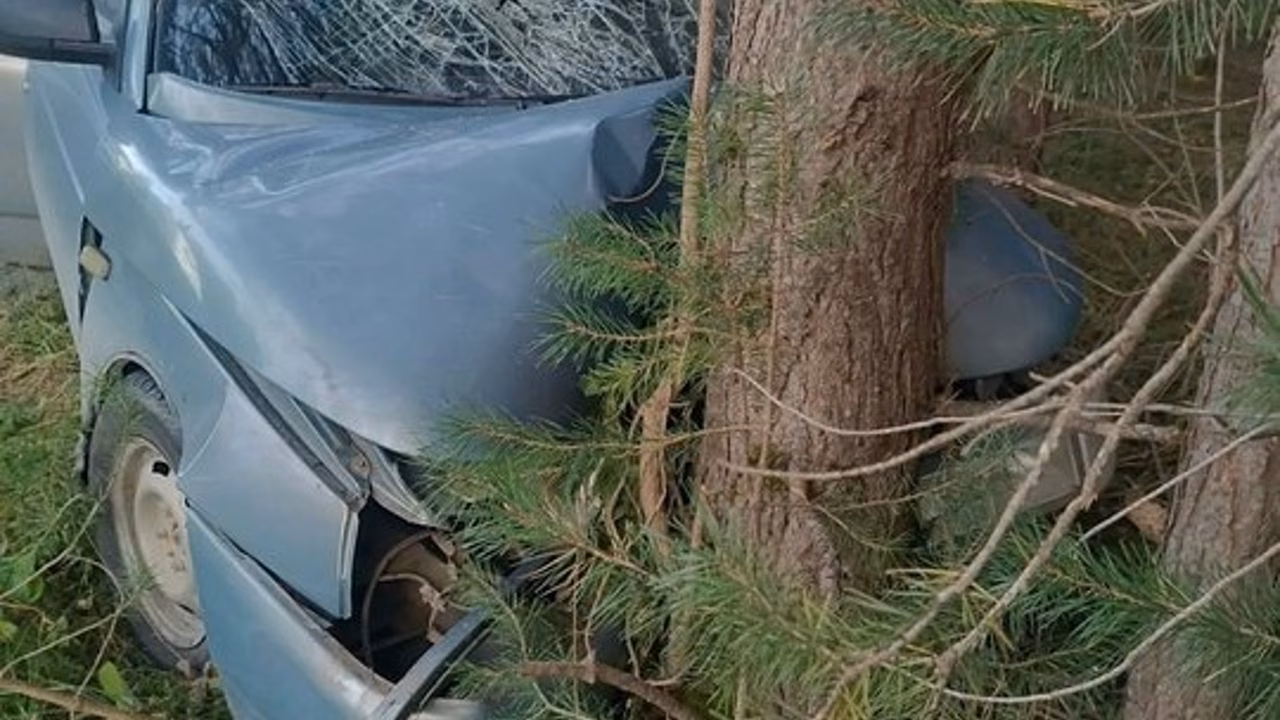В Советском районе пьяный водитель травмировал пассажирку, врезавшись в дерево
