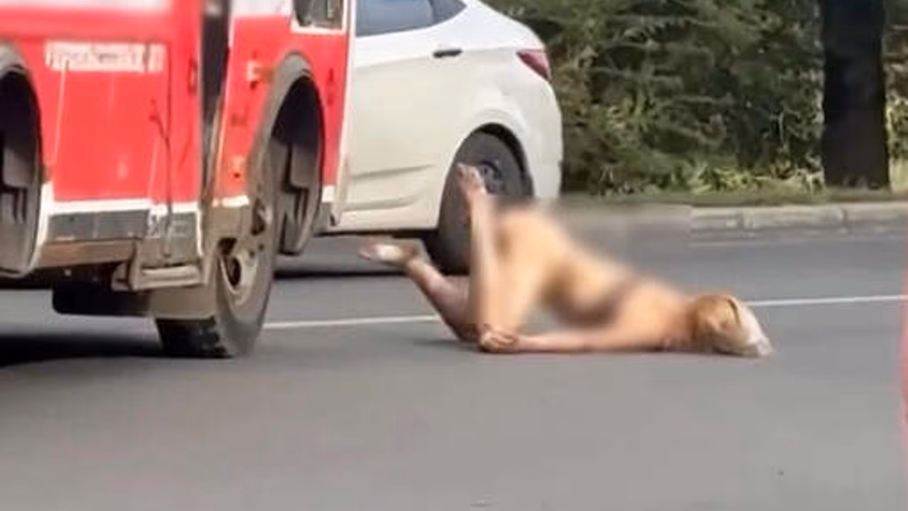В Оренбурге женщина бросалась под машины, создавая аварийные ситуации