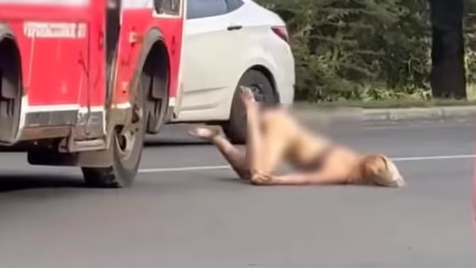 В Оренбурге женщина бросалась под машины, создавая аварийные ситуации