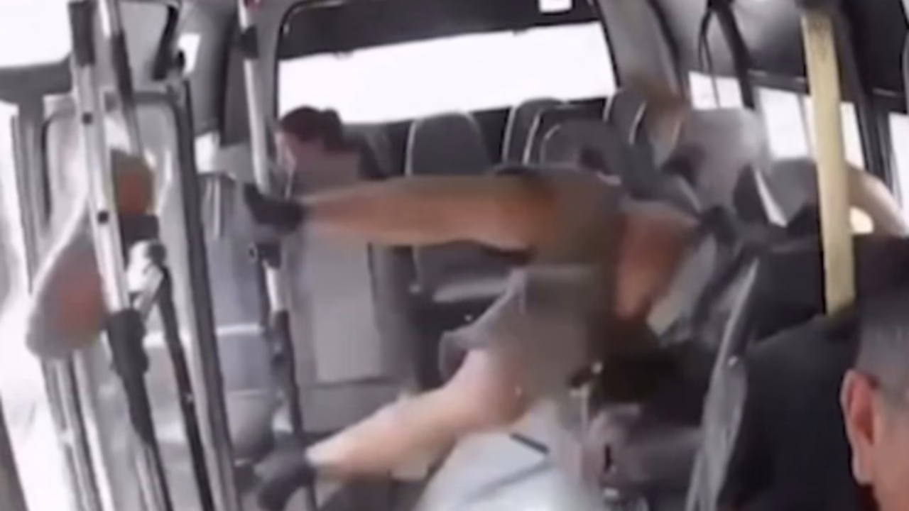 В Колумбии на видео сняли, как байкер на скорости влетел в автобус в ДТП