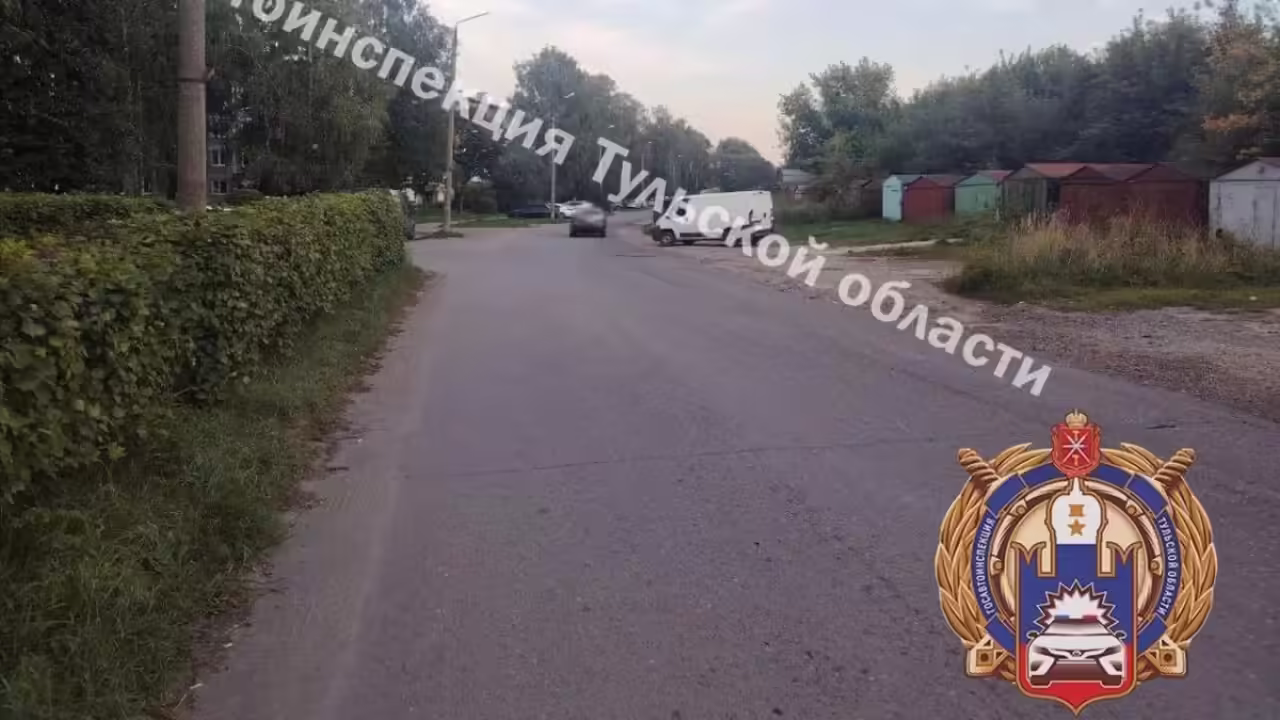 В Тульской области в ДТП с нетрезвым водителем травмы получили женщина и ребенок