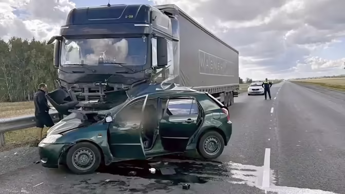 Под Омском в ДТП погибла известная заводчица змей Пераскея
