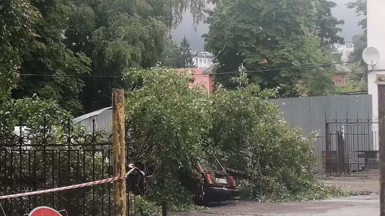 Еще одному калужанину заплатят за поврежденное деревом авто