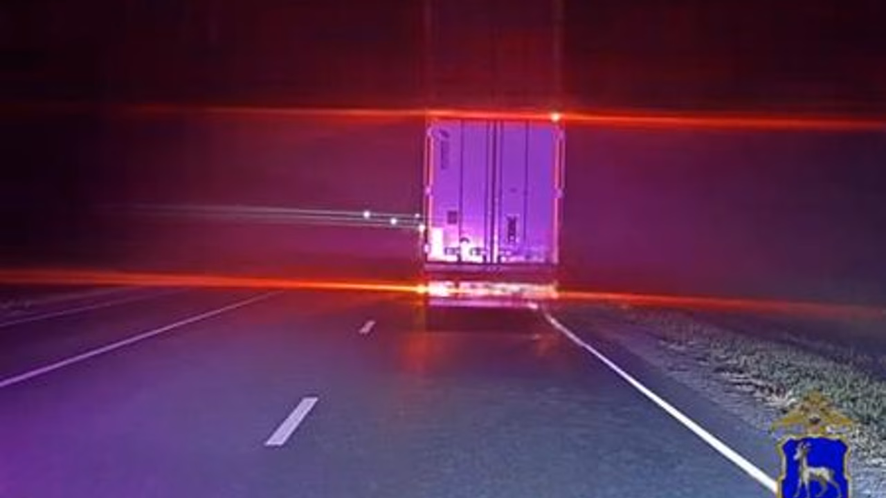 В Сызранском районе на трассе М-5 фура насмерть сбила неизвестного мужчину