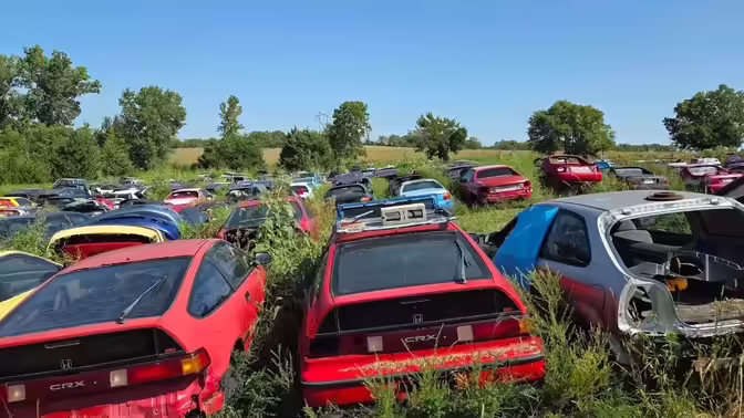 Более 200 раритетных Honda стоят в открытом поле, но они не бесхозные