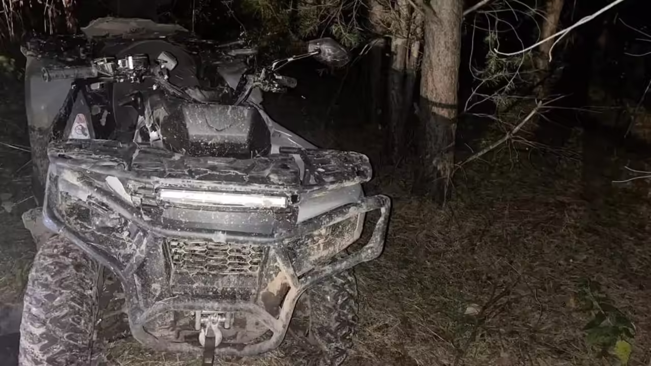 Водитель квадроцикла в Удмуртии врезался в дерево и погиб