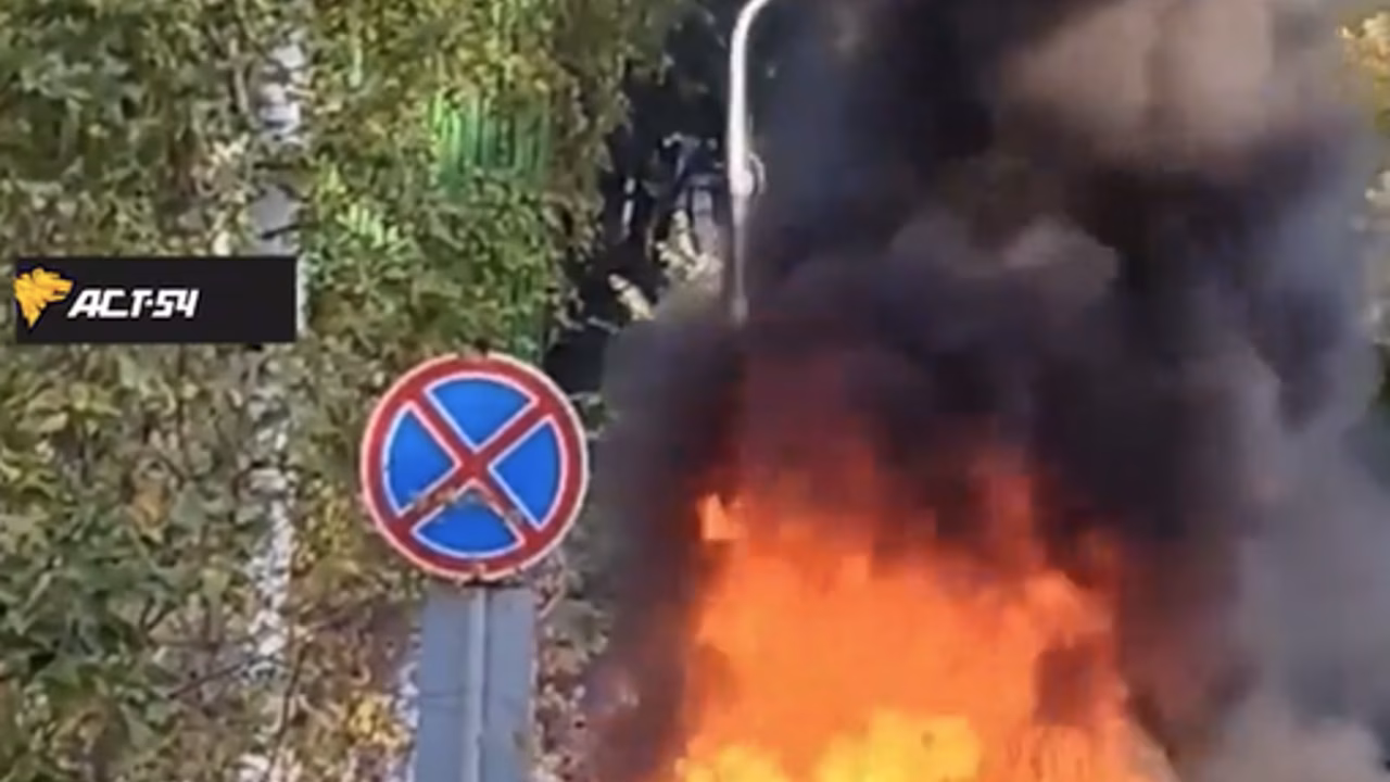 Под Новосибирском автомобиль врезался в дерево и загорелся