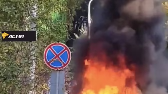 Под Новосибирском автомобиль врезался в дерево и загорелся