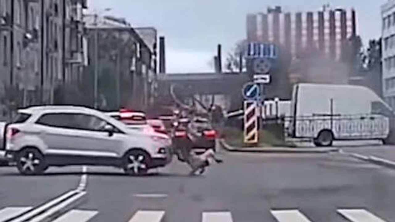 В Петербурге автомобиль сбил велосипедиста