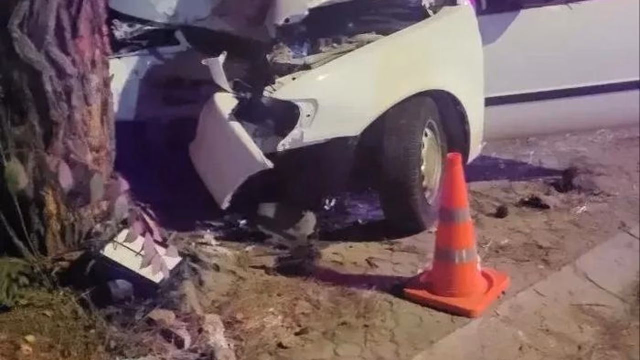 В Анапе водитель Toyota погиб после столкновения с деревом