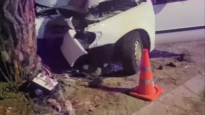 В Анапе водитель Toyota погиб после столкновения с деревом