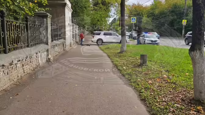 В Иванове автомобиль сбил 12-летнюю девочку на электросамокате