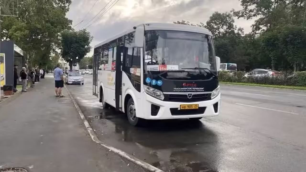 В Приморье пенсионерка выпала из автобуса и получила сотрясение мозга