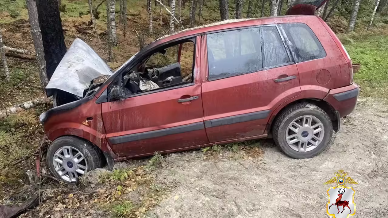 Уголовное дело завели после гибели пенсионерки в ДТП в Нижегородской области