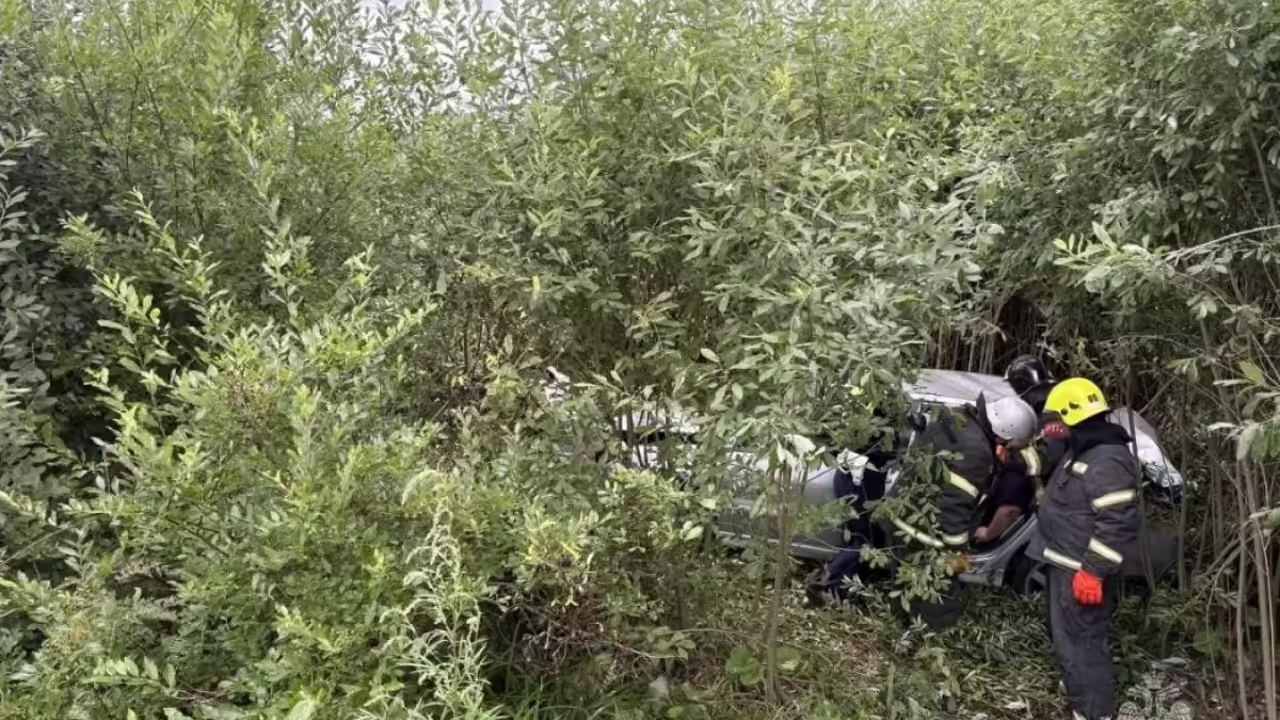Несколько человек пострадали в ДТП под Киржачом